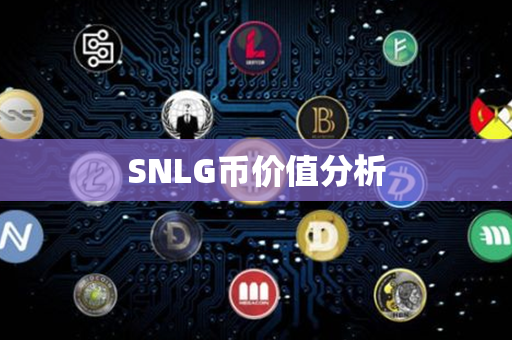 SNLG币价值分析