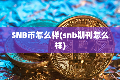 SNB币怎么样(snb期刊怎么样)