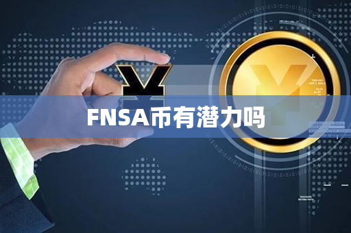 FNSA币有潜力吗