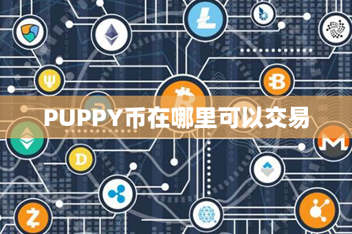 PUPPY币在哪里可以交易