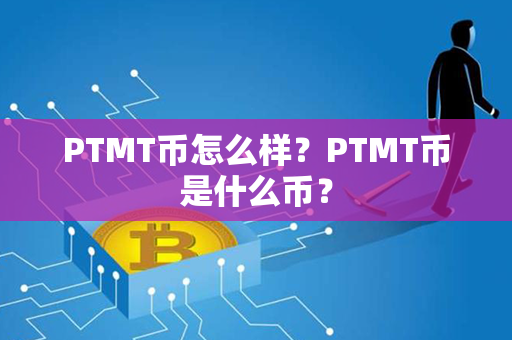 PTMT币怎么样？PTMT币是什么币？