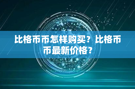 比格币币怎样购买？比格币币最新价格？