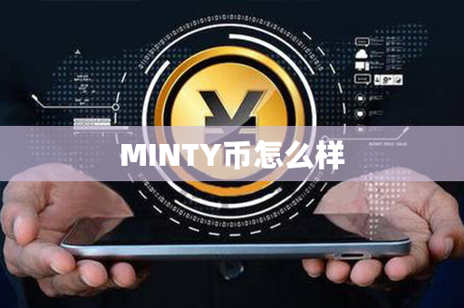 MINTY币怎么样