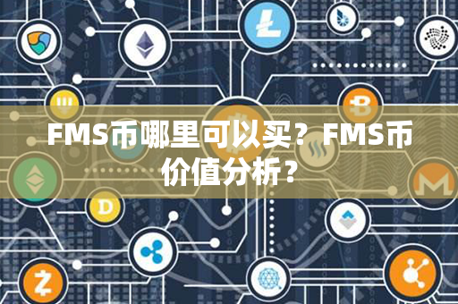 FMS币哪里可以买？FMS币价值分析？