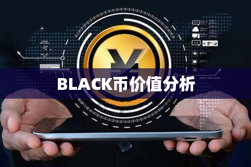 BLACK币价值分析