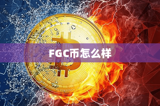 FGC币怎么样