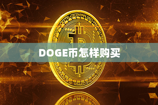 DOGE币怎样购买