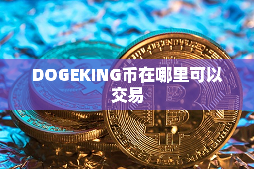 DOGEKING币在哪里可以交易