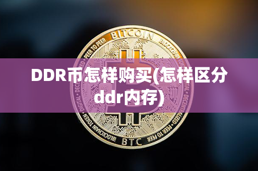 DDR币怎样购买(怎样区分ddr内存)