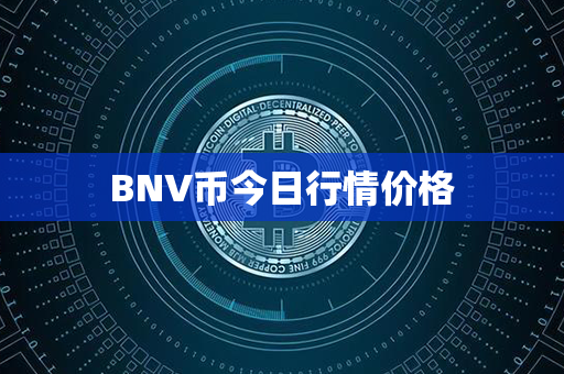 BNV币今日行情价格