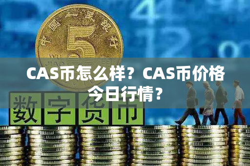 CAS币怎么样？CAS币价格今日行情？