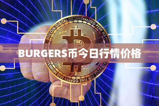 BURGERS币今日行情价格