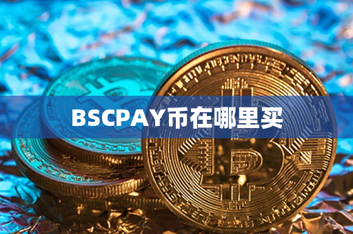 BSCPAY币在哪里买