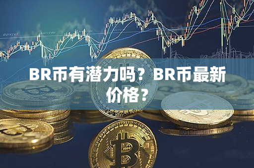 BR币有潜力吗？BR币最新价格？