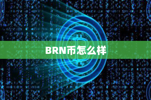 BRN币怎么样