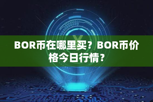 BOR币在哪里买？BOR币价格今日行情？