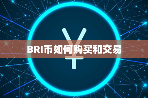 BRI币如何购买和交易