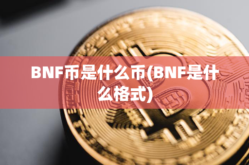 BNF币是什么币(BNF是什么格式)