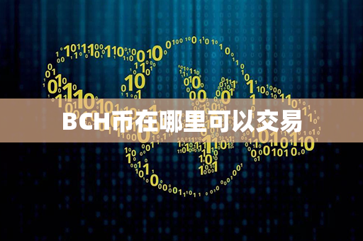 BCH币在哪里可以交易