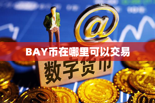 BAY币在哪里可以交易