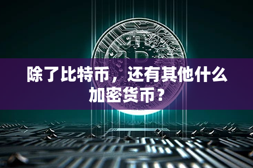 除了比特币，还有其他什么加密货币？