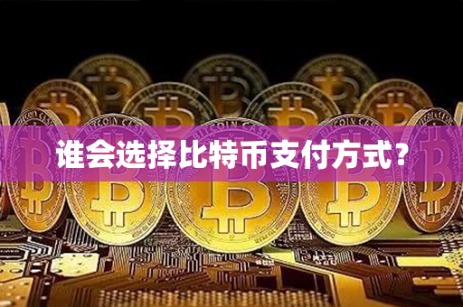 谁会选择比特币支付方式？