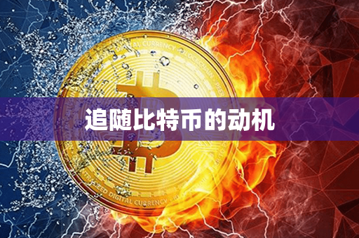 追随比特币的动机