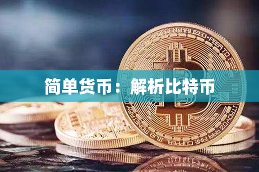 简单货币：解析比特币