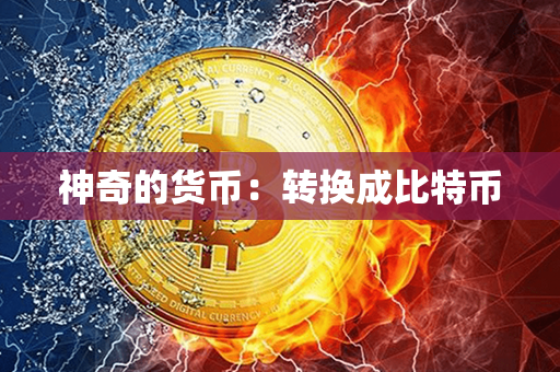 神奇的货币：转换成比特币