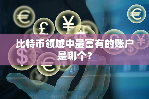 比特币领域中最富有的账户是哪个？