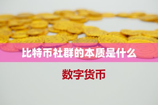 比特币社群的本质是什么