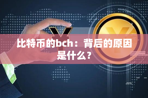 比特币的bch：背后的原因是什么？