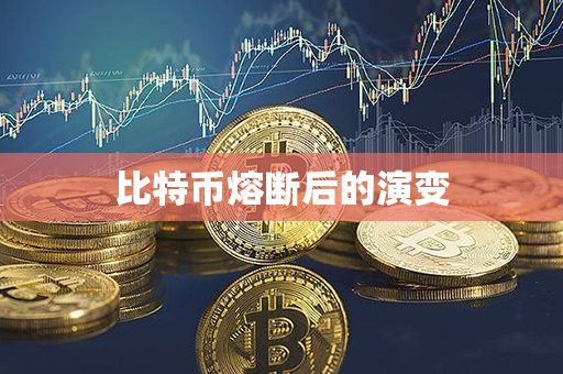 比特币熔断后的演变