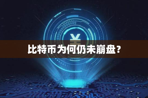 比特币为何仍未崩盘？