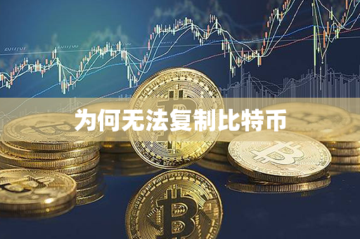 为何无法复制比特币