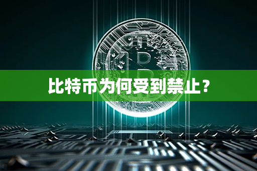 比特币为何受到禁止？