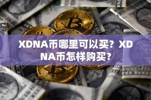 XDNA币哪里可以买？XDNA币怎样购买？