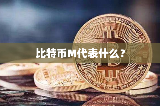 比特币M代表什么？