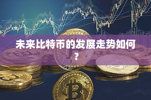 未来比特币的发展走势如何？