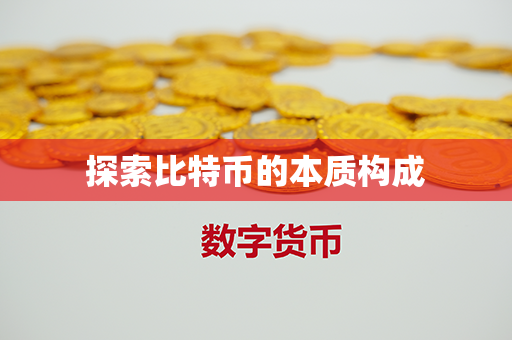 探索比特币的本质构成