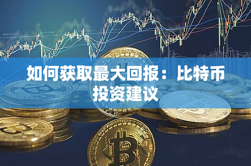 如何获取最大回报：比特币投资建议