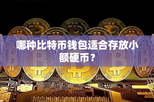 哪种比特币钱包适合存放小额硬币？