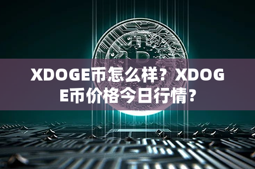 XDOGE币怎么样？XDOGE币价格今日行情？