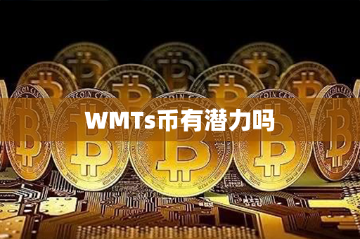 WMTs币有潜力吗