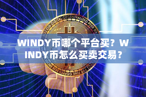 WINDY币哪个平台买？WINDY币怎么买卖交易？