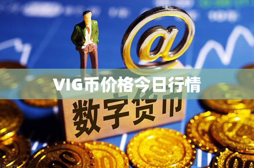 VIG币价格今日行情