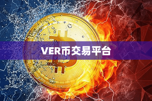 VER币交易平台