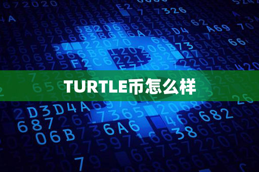 TURTLE币怎么样